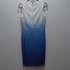Calvin Klein Ombre Shift Dress